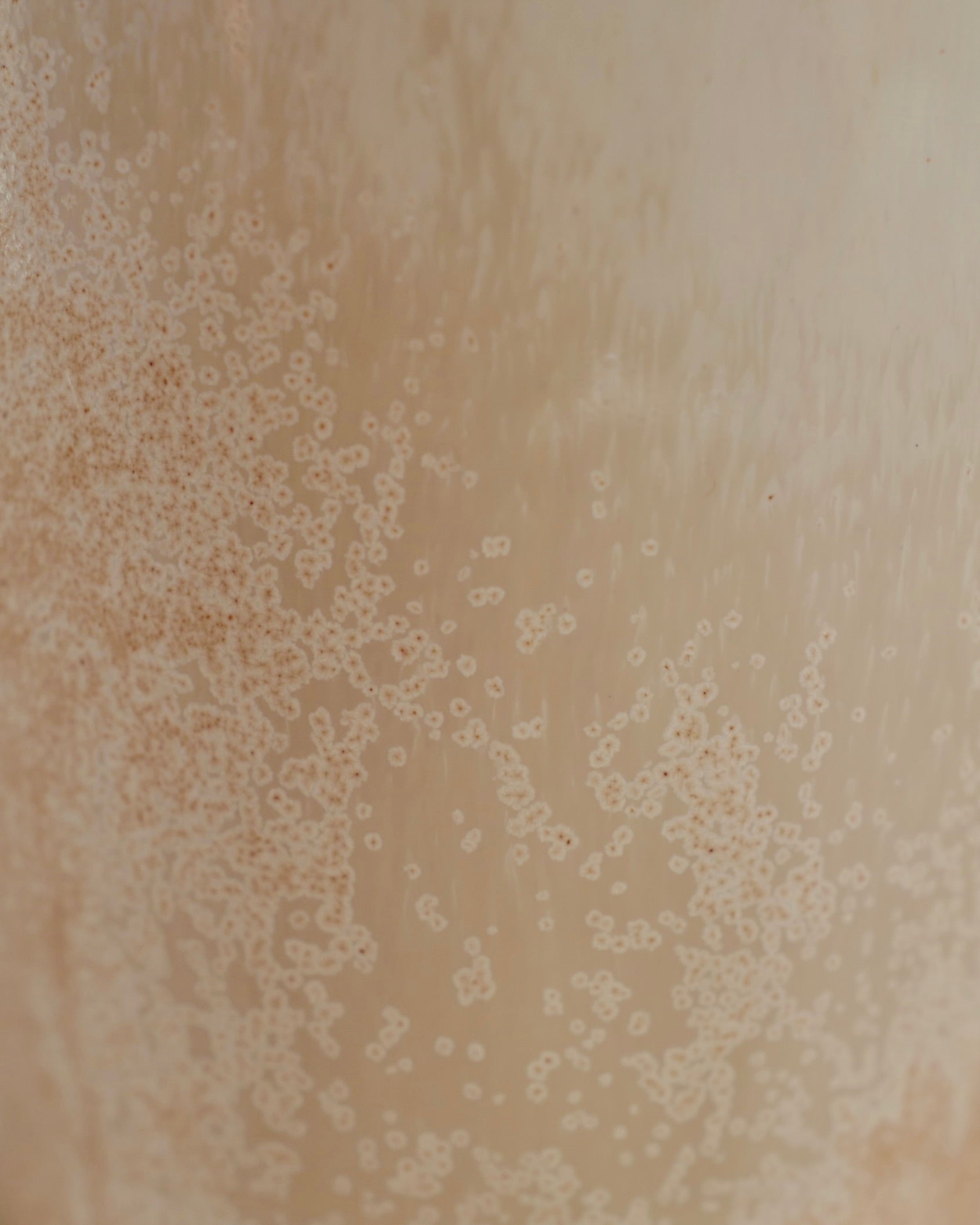 Travel Mug in Crystal Blush