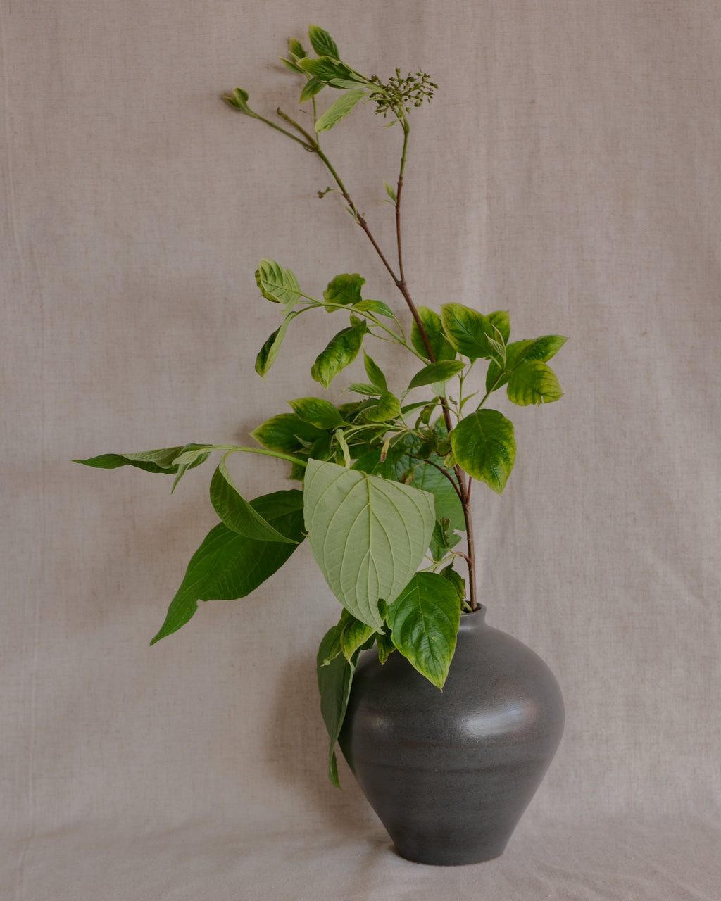 Charcoal Vase Nº1