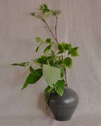Charcoal Vase Nº1