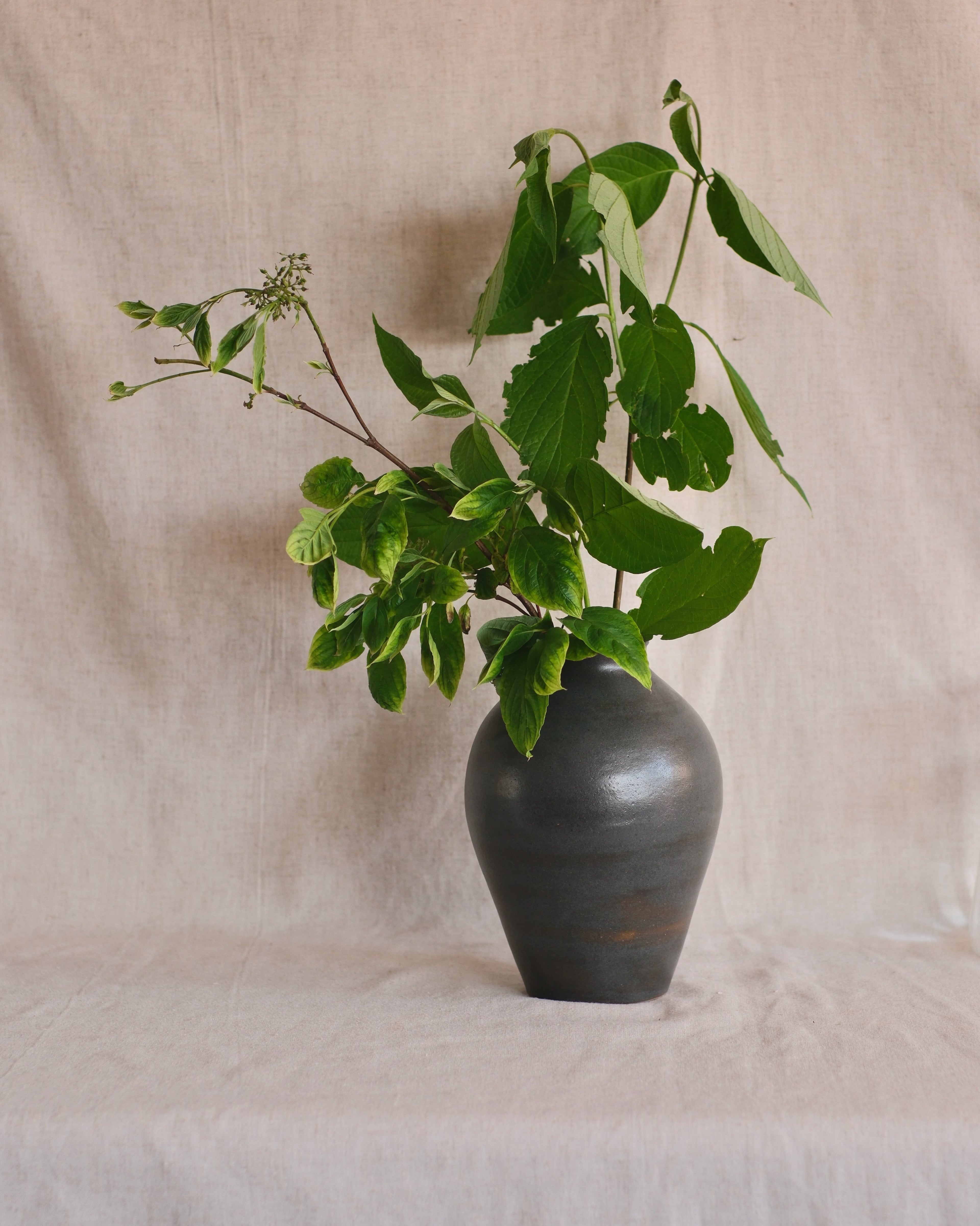 Charcoal Vase Nº2