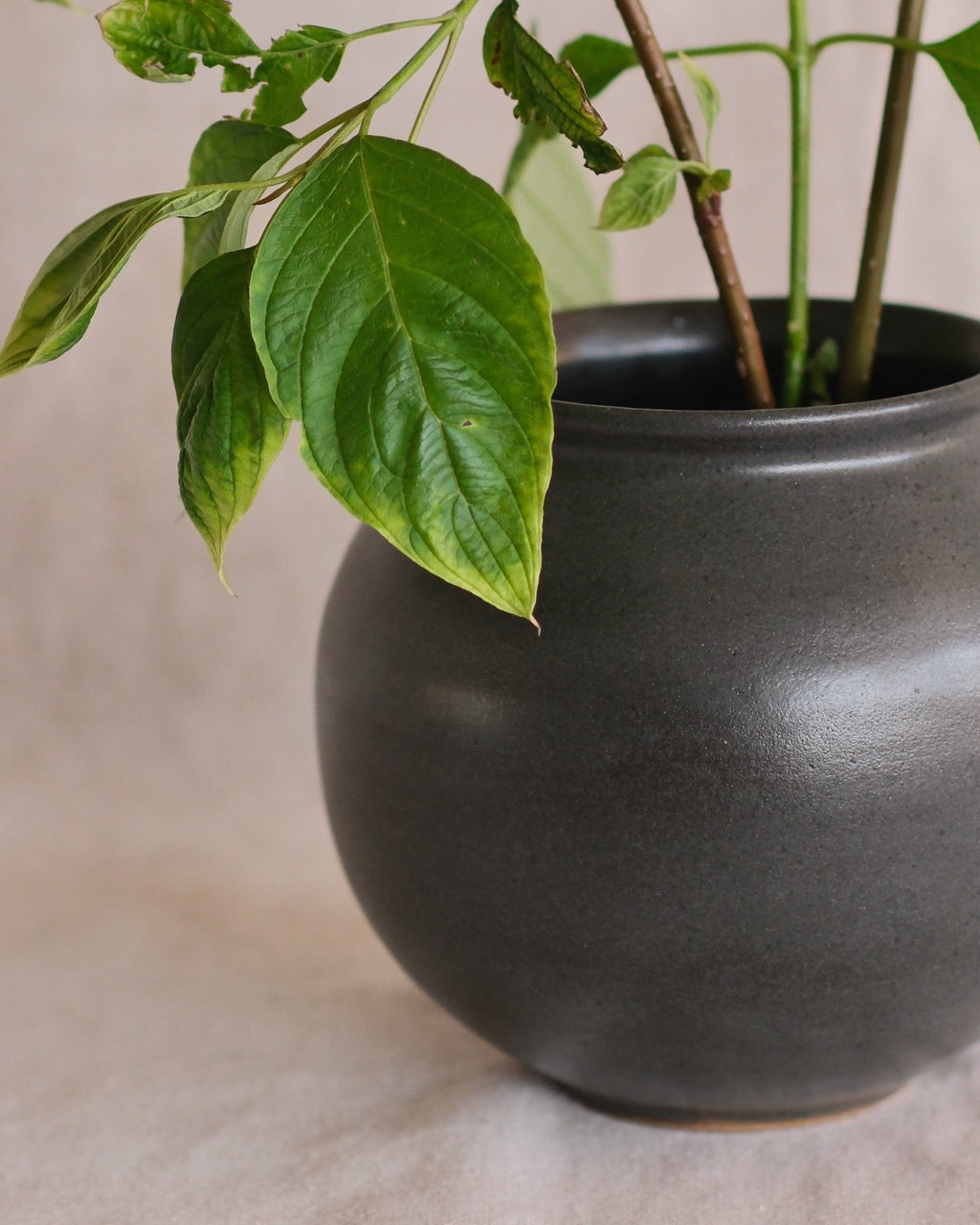 Charcoal Vase Nº3