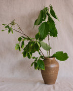 Brown and Speckled Vase