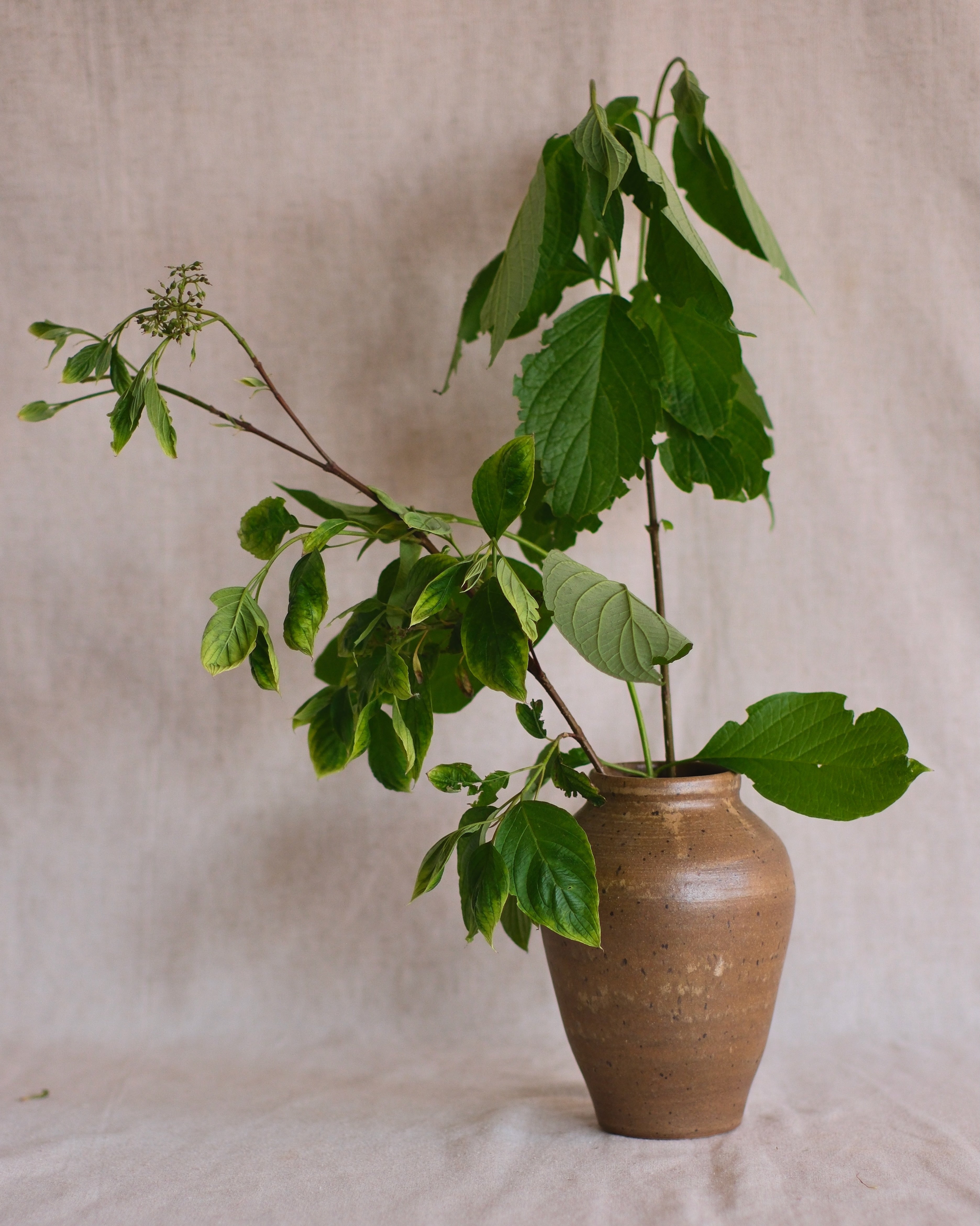 Brown and Speckled Vase
