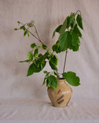 Brown & Tan Vase
