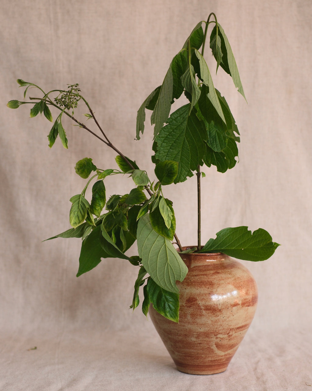 Terracotta & Tan Vase Nº1