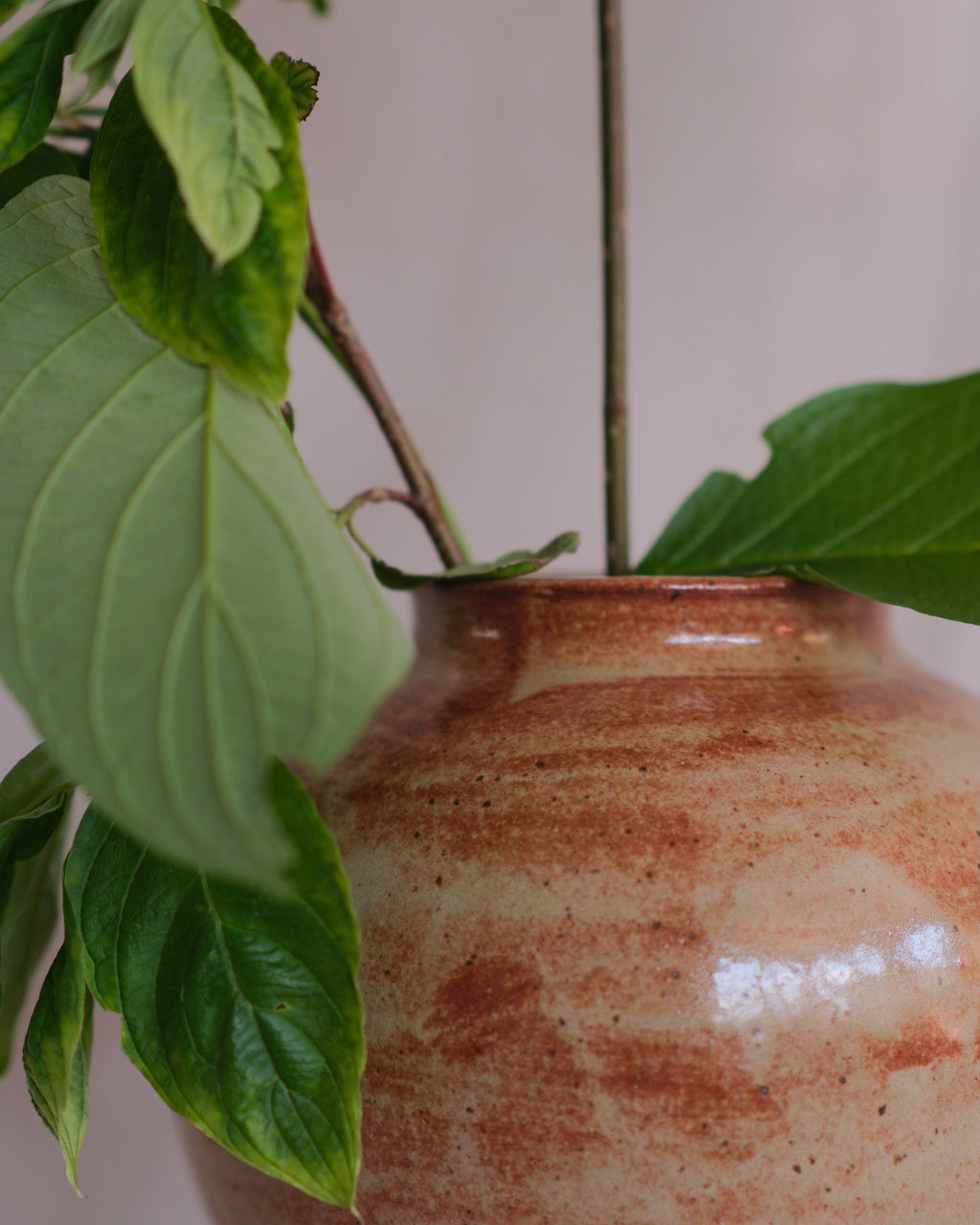 Terracotta & Tan Vase Nº1