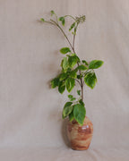 Terracotta & Tan Vase Nº2