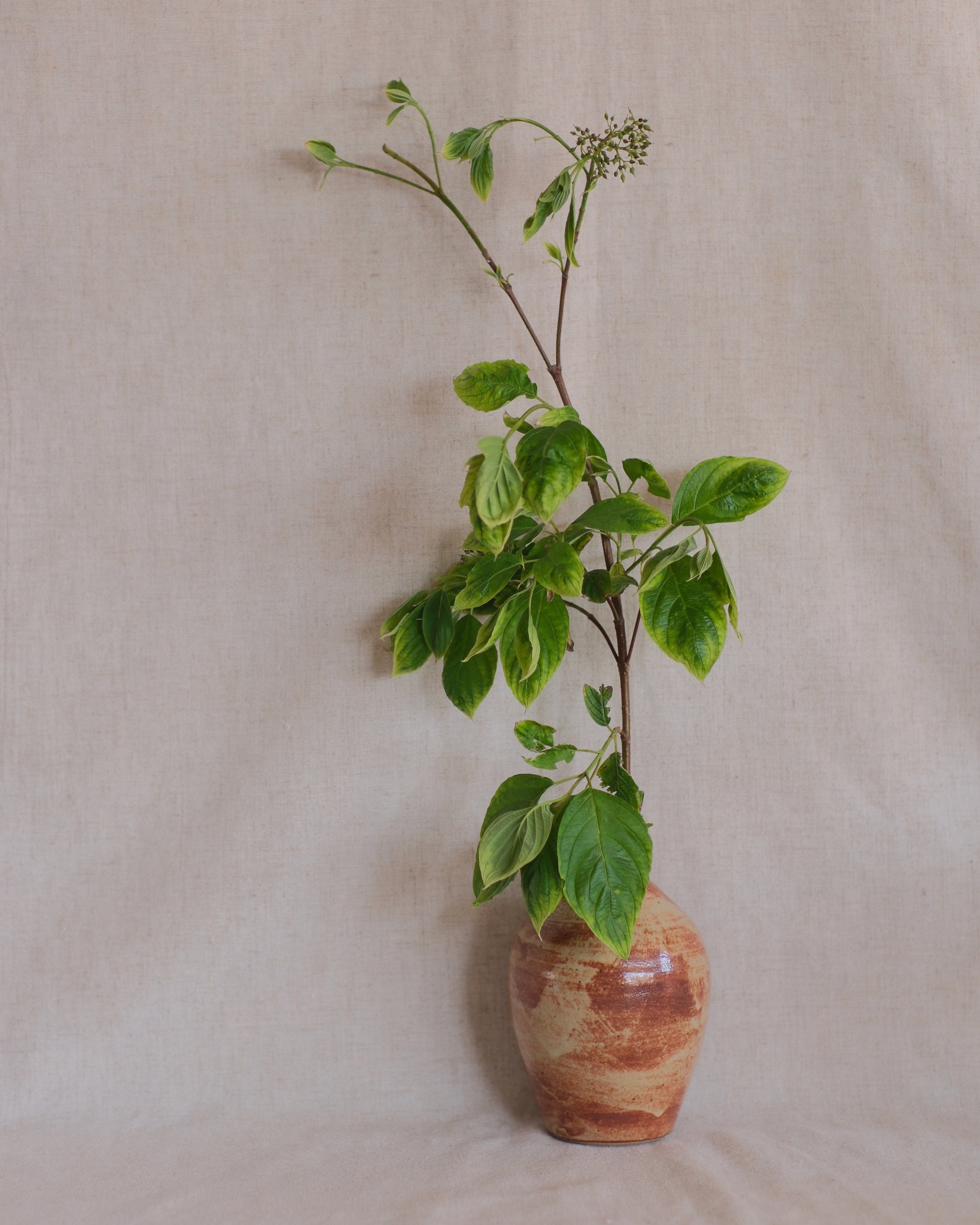 Terracotta & Tan Vase Nº2