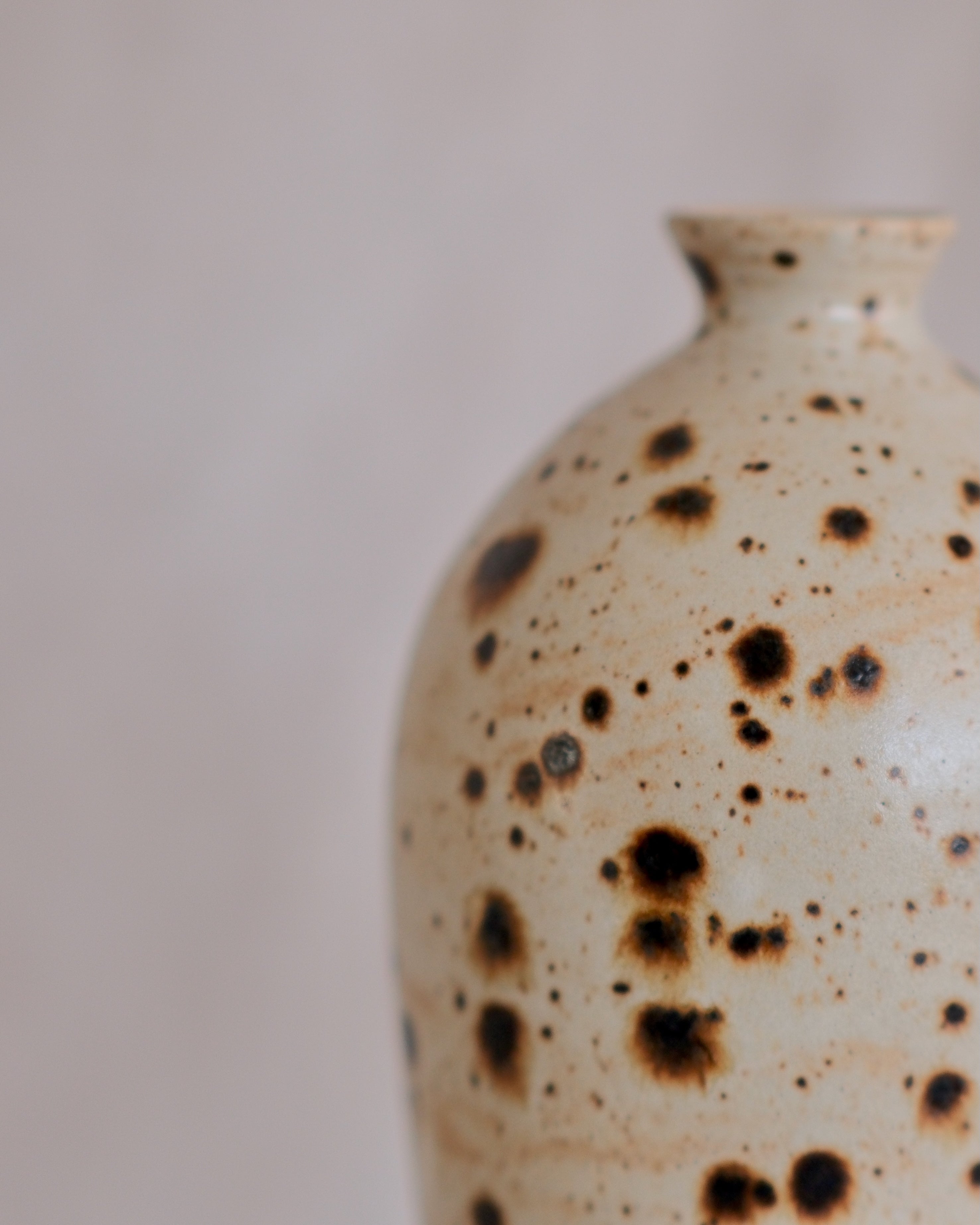 White with Speckles Vase