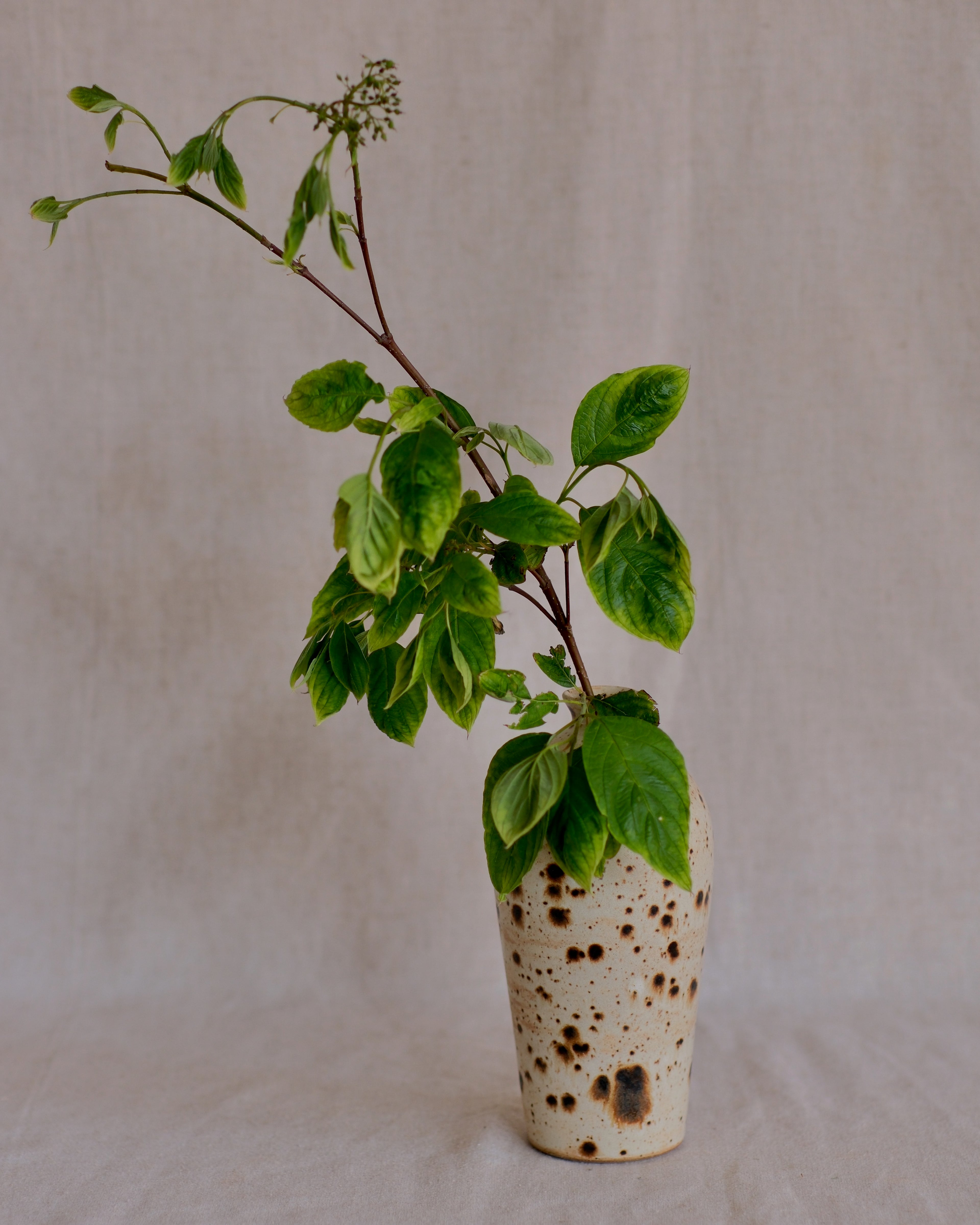 White with Speckles Vase