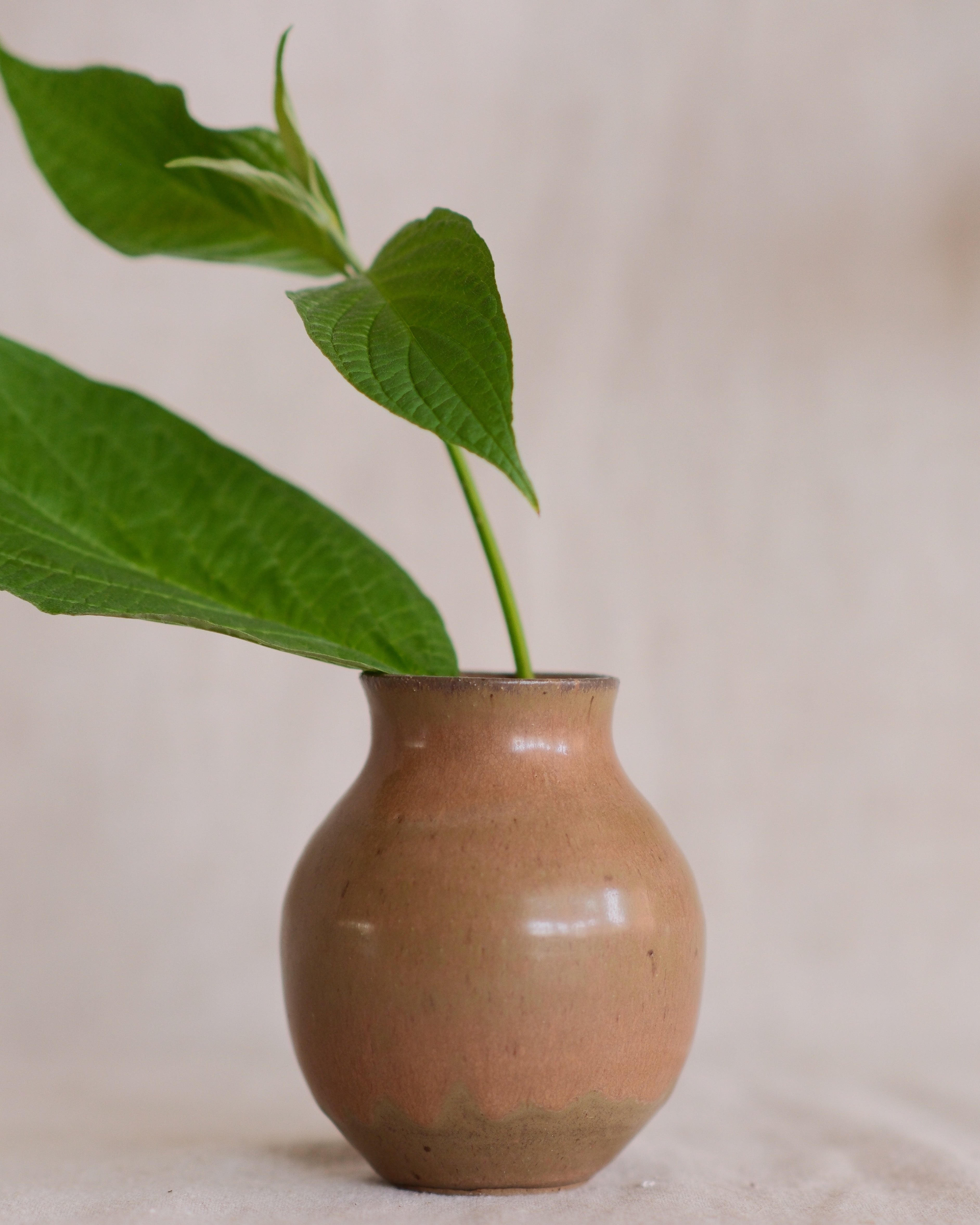 Brown & Green Bud Vase