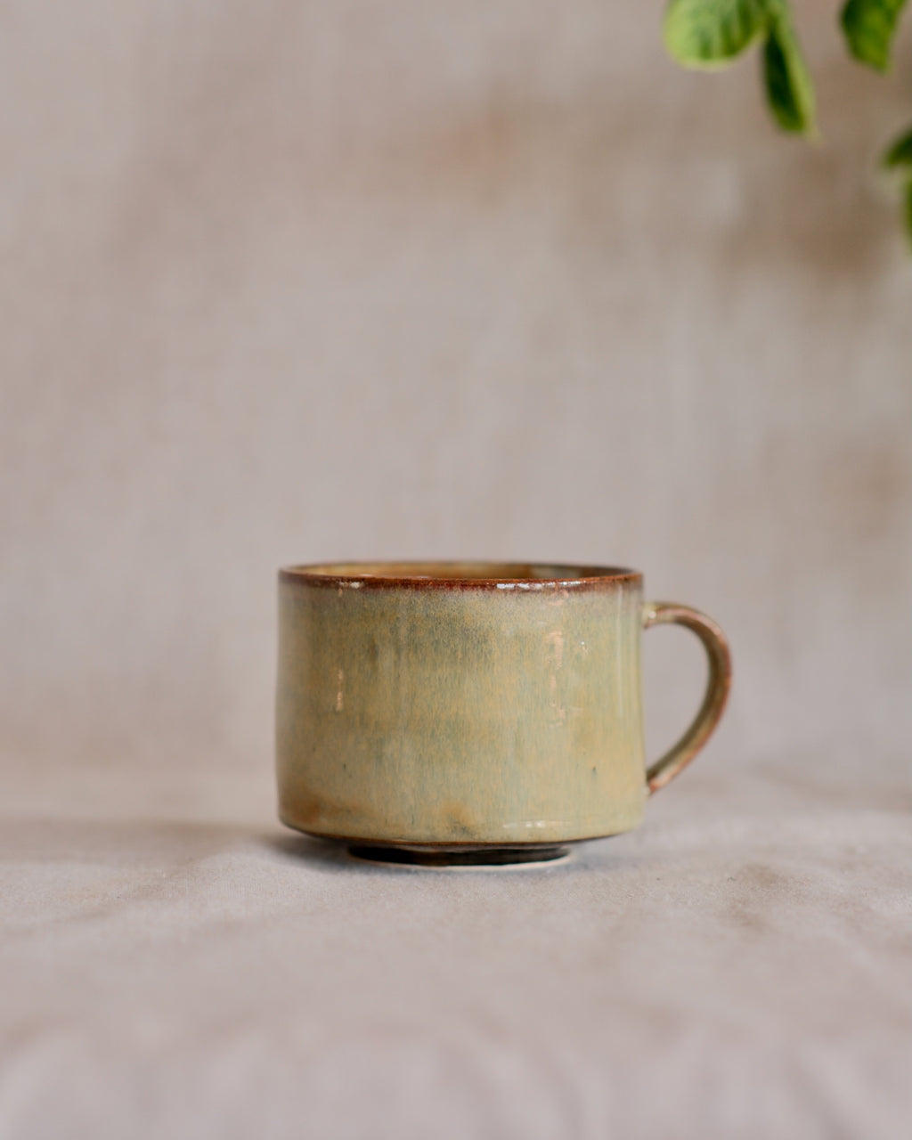 Footed Mug in Sage Rain