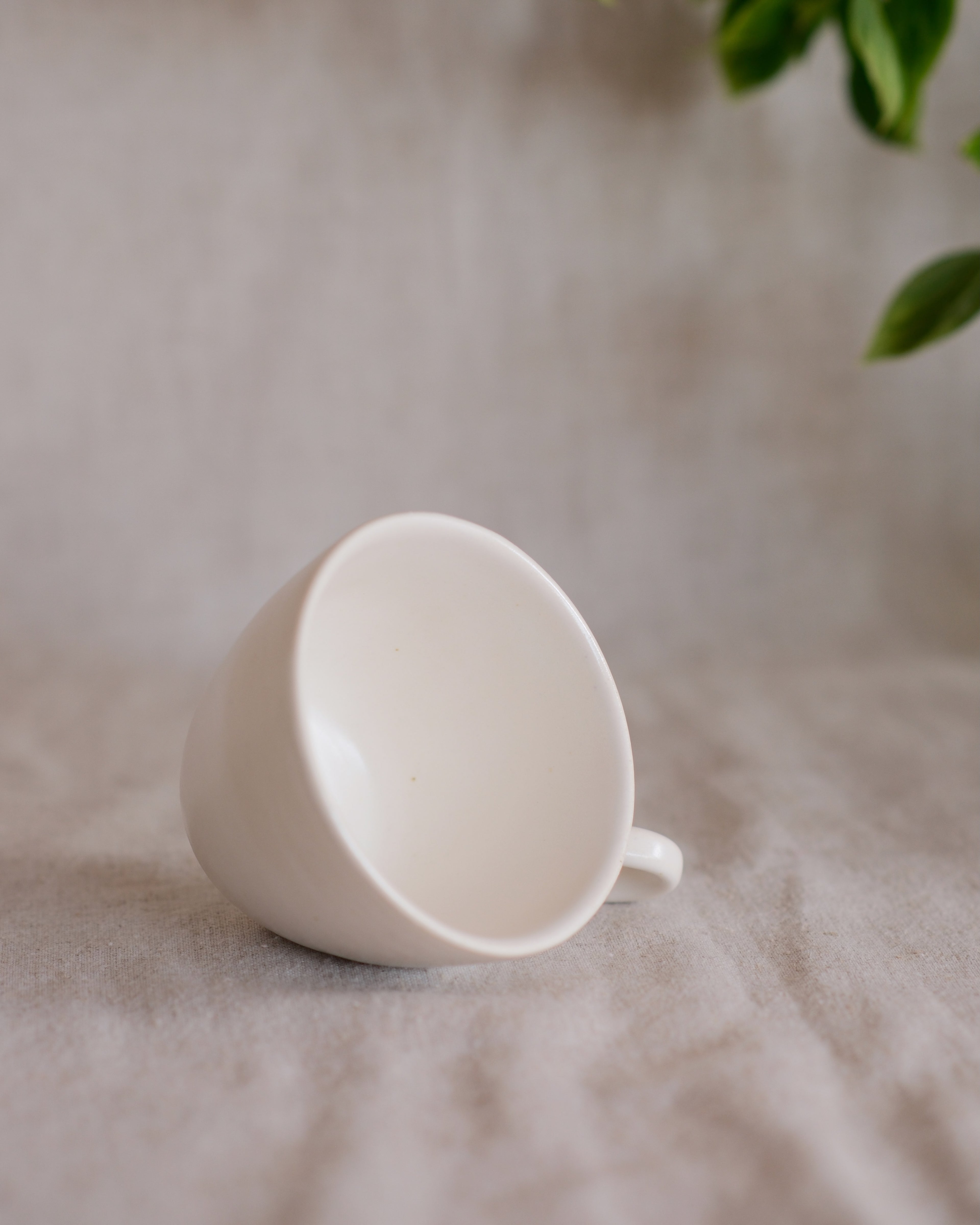 Teacup in Matte White